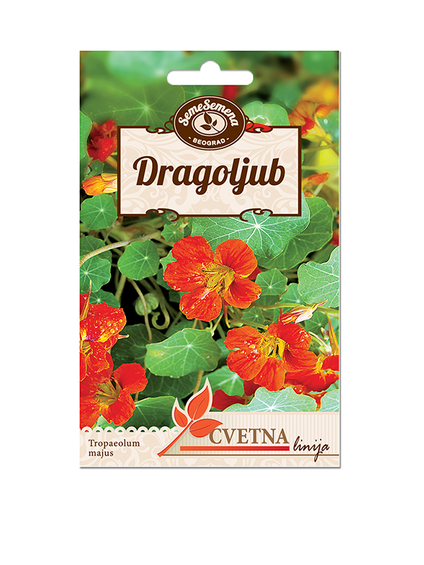 Dragoljub