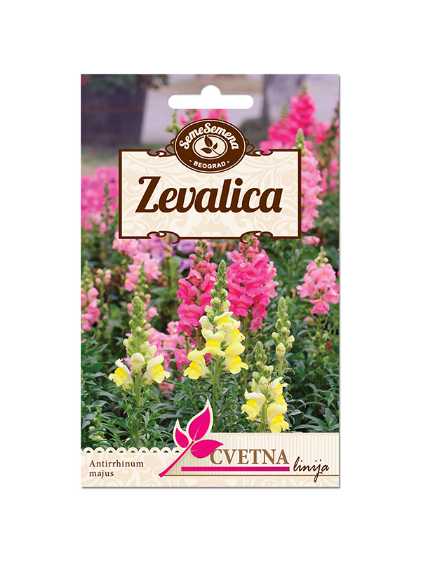 Zevalica